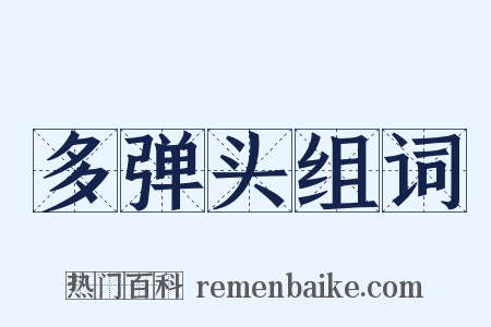 多弹头组词是什么意思的图片